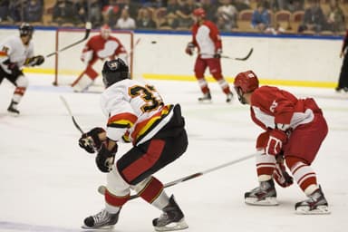 Vancouver Canucks
