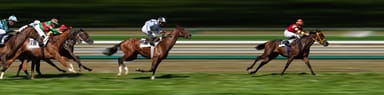 Glorious Goodwood