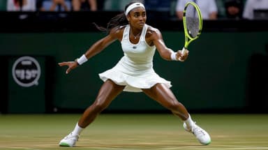 Wimbledon Quarter Finals